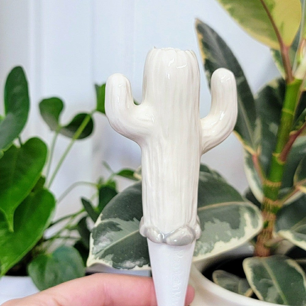 Cactus Watering Spike | Plow & Hearth