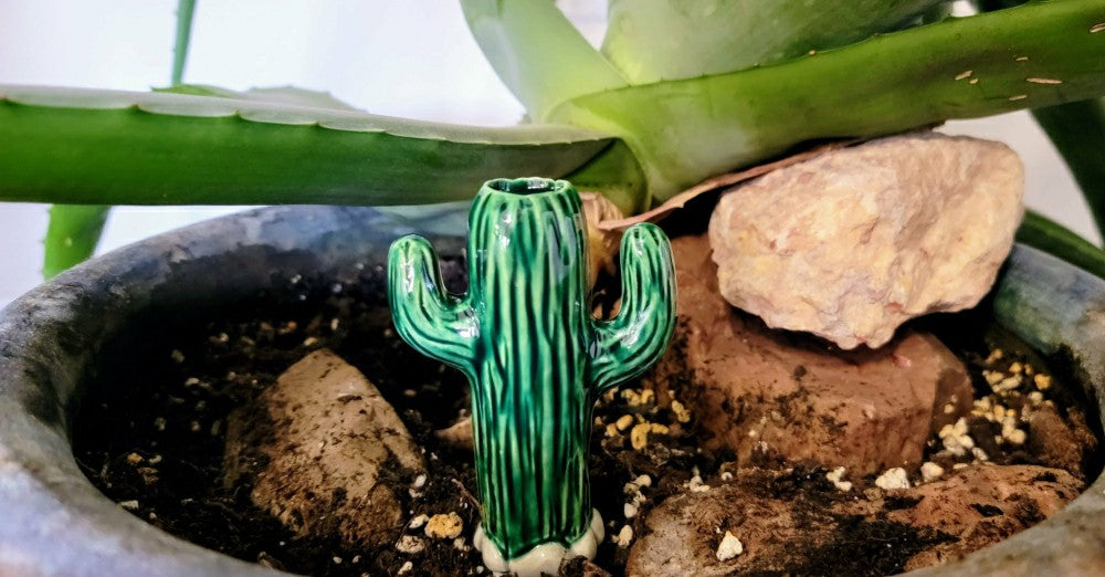 Cactus Watering Spike | Plow & Hearth