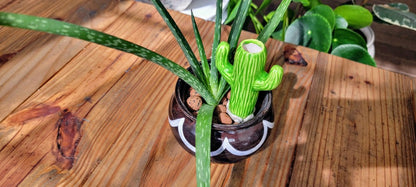 Cactus Watering Spike | Plow & Hearth