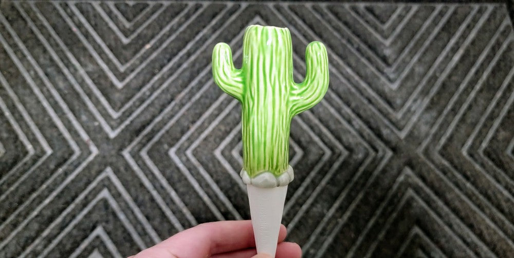 Cactus Watering Spike | Plow & Hearth