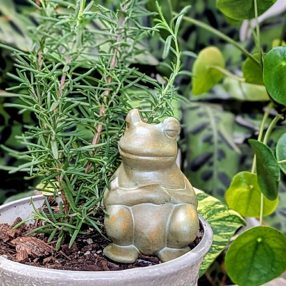 Chill Frog Watering Spike | Plow & Hearth