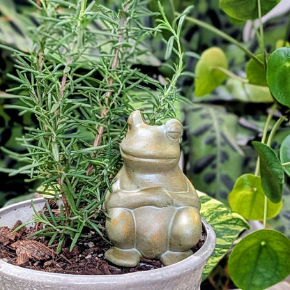 Chill Frog Watering Spike | Plow & Hearth