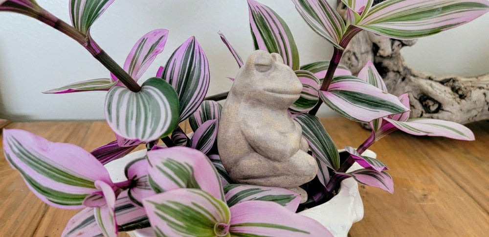 Chill Frog Watering Spike | Plow & Hearth