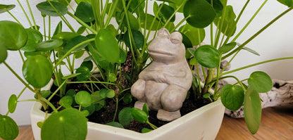 Chill Frog Watering Spike | Plow & Hearth