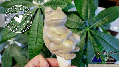 Chill Frog Watering Spike | Plow & Hearth