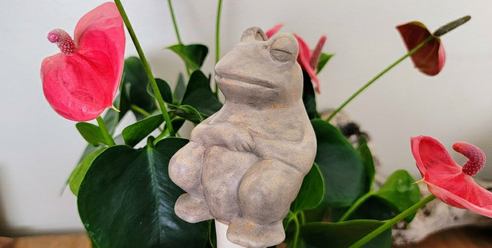 Chill Frog Watering Spike | Plow & Hearth