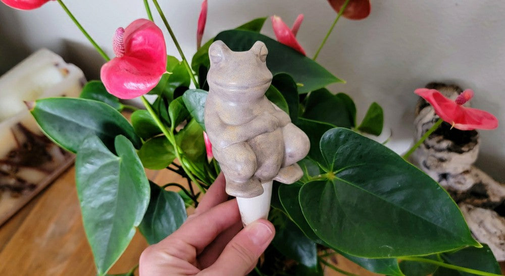 Chill Frog Watering Spike | Plow & Hearth