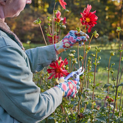 Nitrile Weeder Gloves | Plow & Hearth