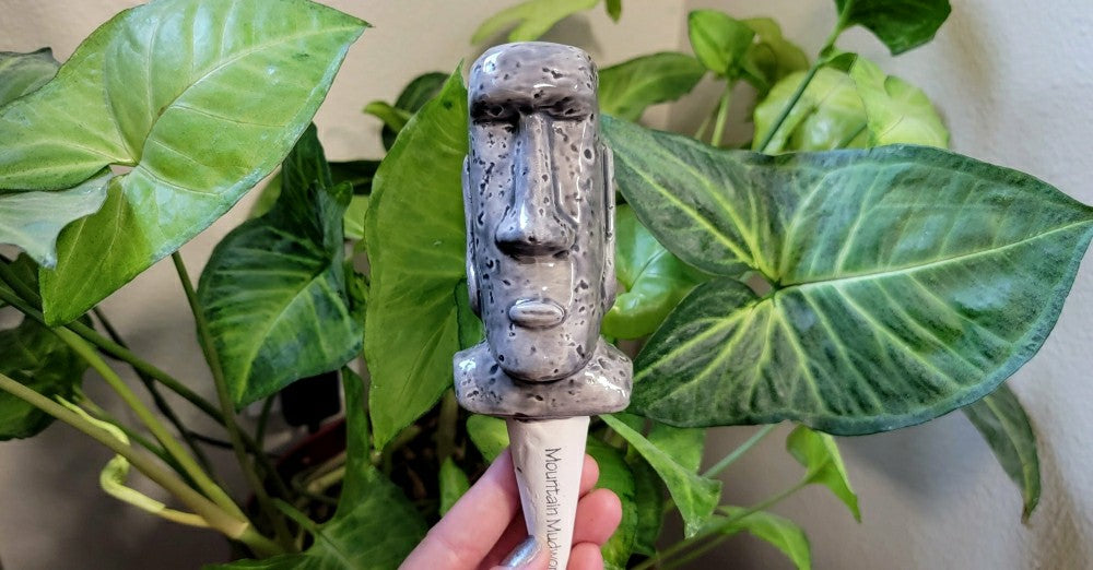 Moai Watering Spike | Plow & Hearth