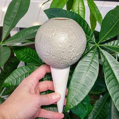 Moon Plant Watering Spike | Plow & Hearth