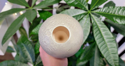 Moon Plant Watering Spike | Plow & Hearth