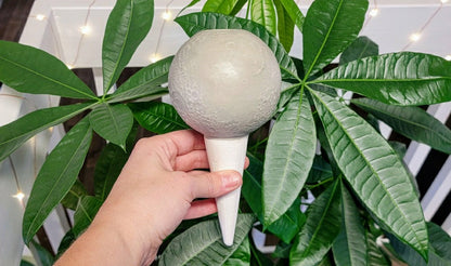 Moon Plant Watering Spike | Plow & Hearth