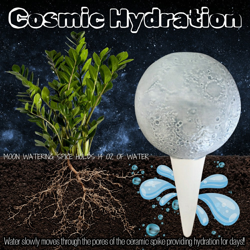 Moon Plant Watering Spike | Plow & Hearth