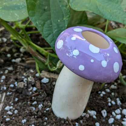 Medium Mushroom Watering Spike | Plow & Hearth