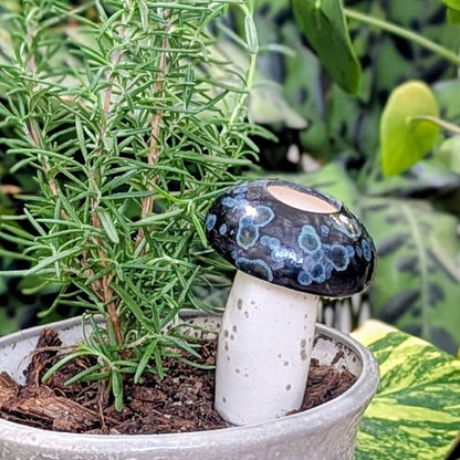 Medium Mushroom Watering Spike | Plow & Hearth