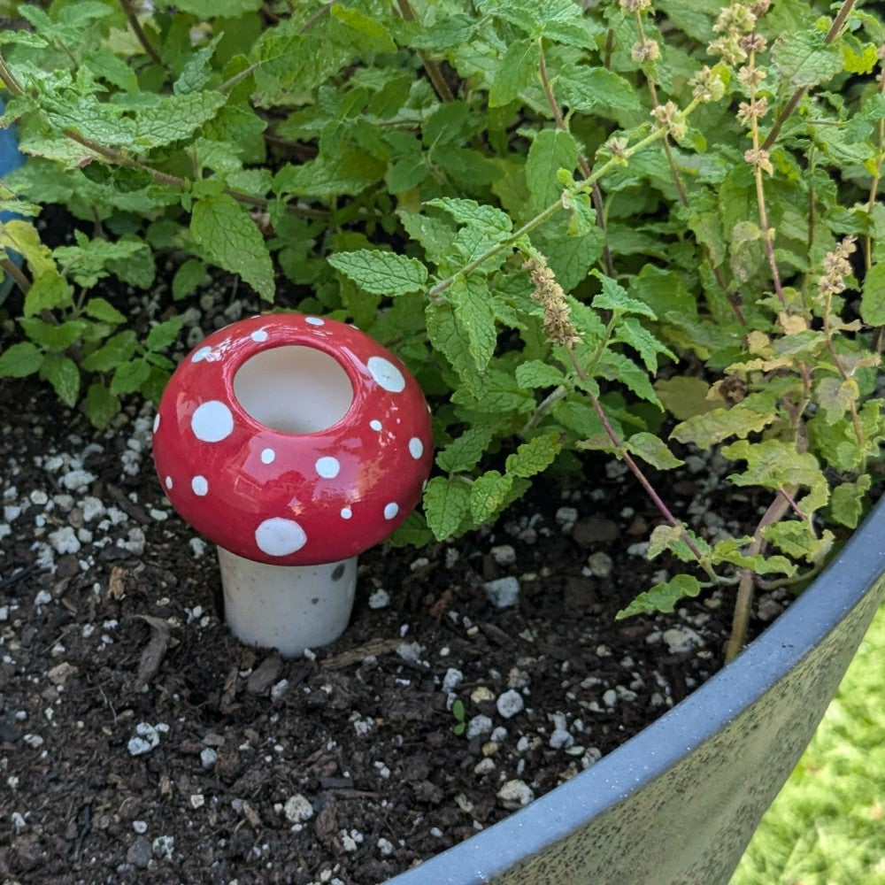 Medium Mushroom Watering Spike | Plow & Hearth