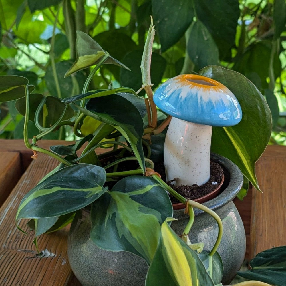 Medium Mushroom Watering Spike | Plow & Hearth