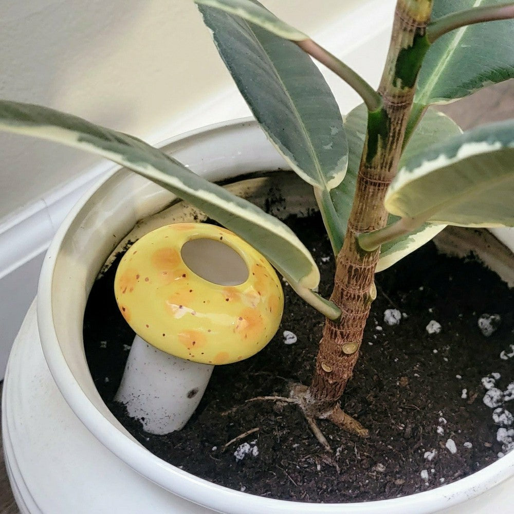 Medium Mushroom Watering Spike | Plow & Hearth