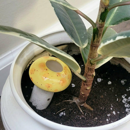 Medium Mushroom Watering Spike | Plow & Hearth