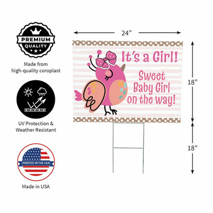 Sweet Baby Girl on the Way Yard Sign | Plow & Hearth