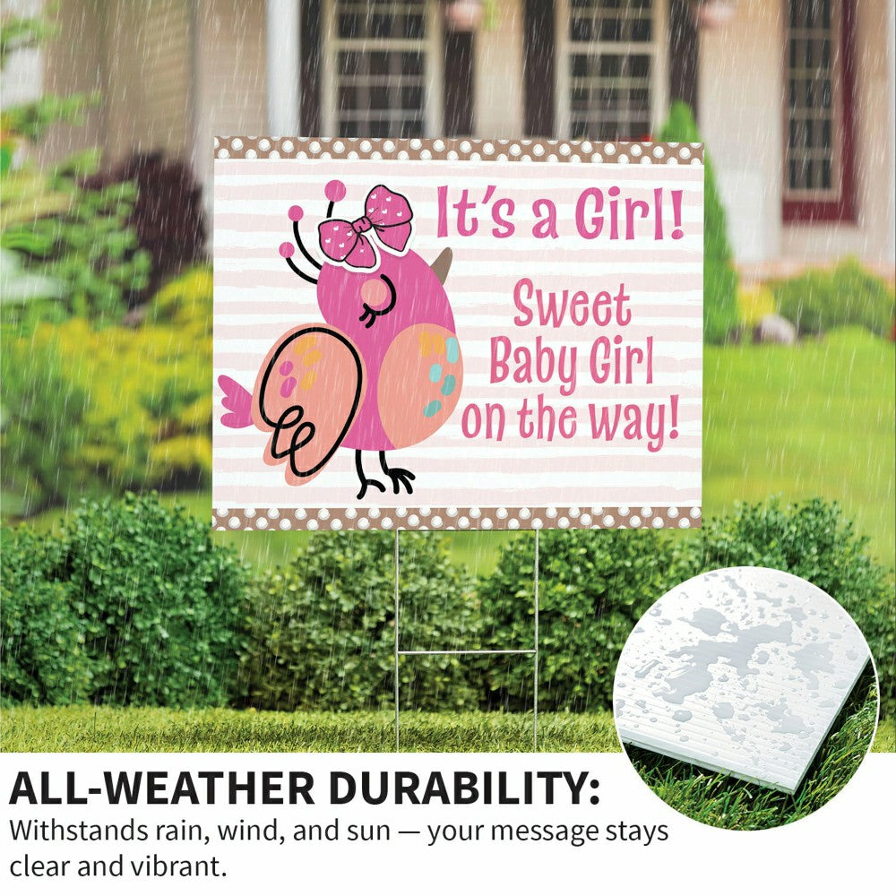 Sweet Baby Girl on the Way Yard Sign | Plow & Hearth