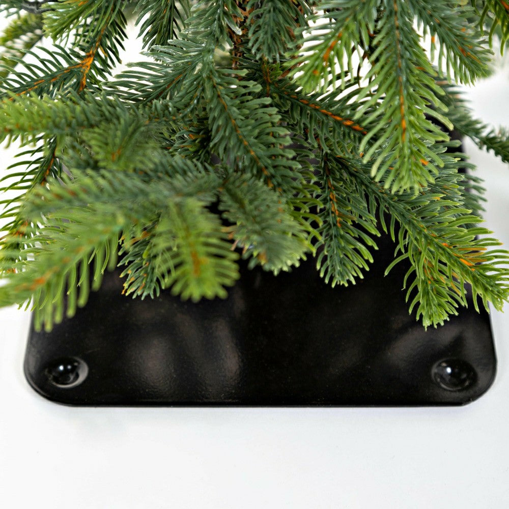 24"H Monte Rosa Alpine Fir Tabletop Tree | Plow & Hearth