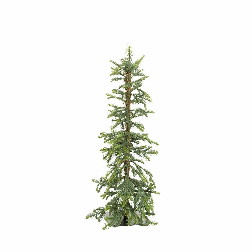 24"H Monte Rosa Alpine Fir Tabletop Tree | Plow & Hearth