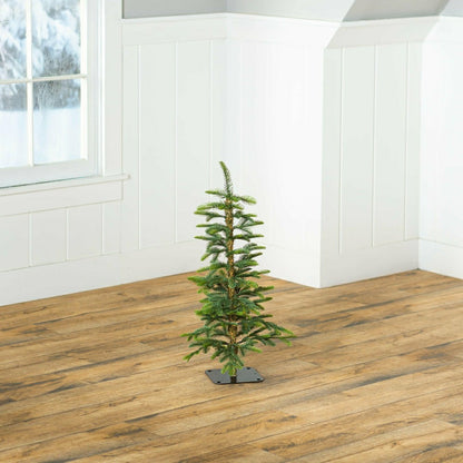 24"H Monte Rosa Alpine Fir Tabletop Tree | Plow & Hearth