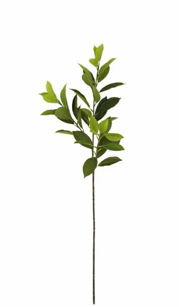 Artificial Bay Leaf Stems - Bundle of 4 | Plow & Hearth
