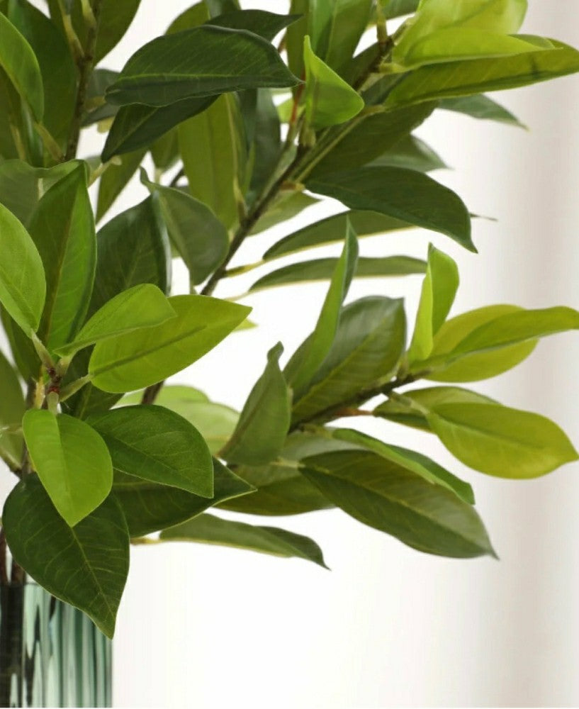 Artificial Bay Leaf Stems - Bundle of 4 | Plow & Hearth