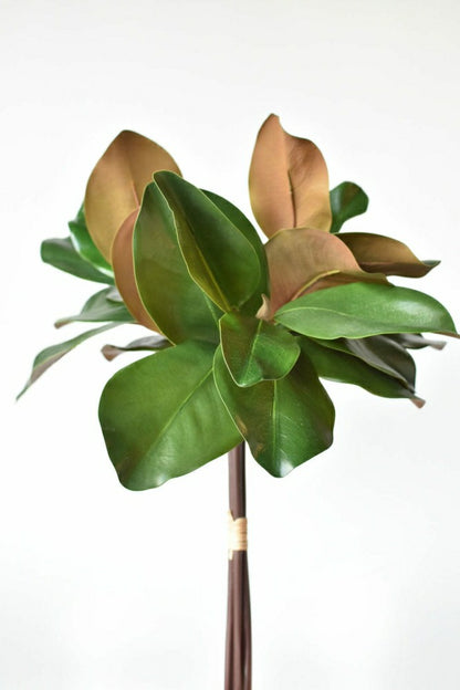 18" Faux Magnolia Leaf Bundle | Plow & Hearth