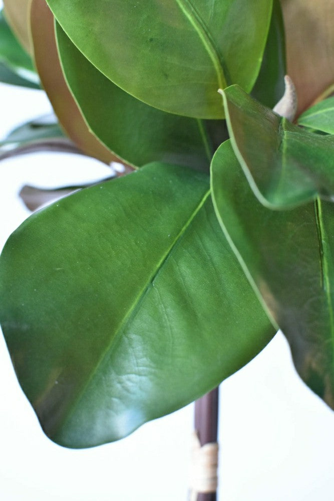 18" Faux Magnolia Leaf Bundle | Plow & Hearth