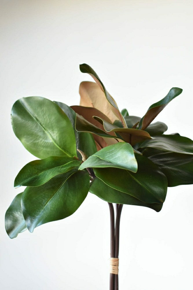 18" Faux Magnolia Leaf Bundle | Plow & Hearth