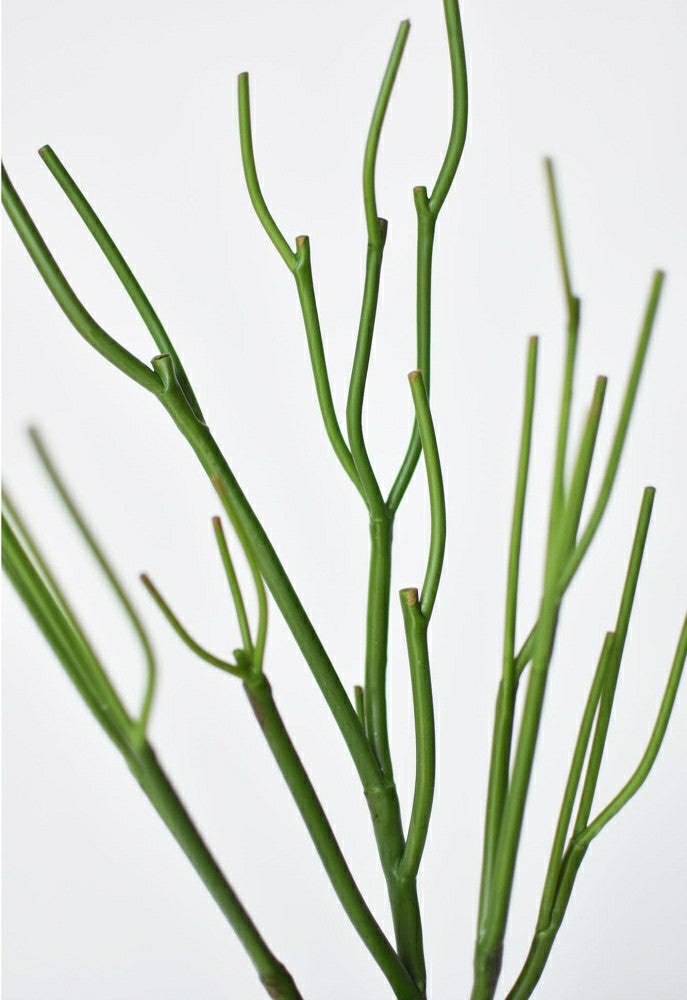 23" Faux Green Pencil Cactus Succulent Stem | Plow & Hearth