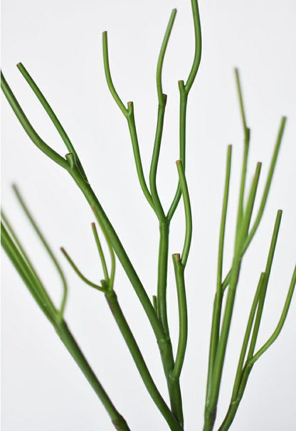 23" Faux Green Pencil Cactus Succulent Stem | Plow & Hearth