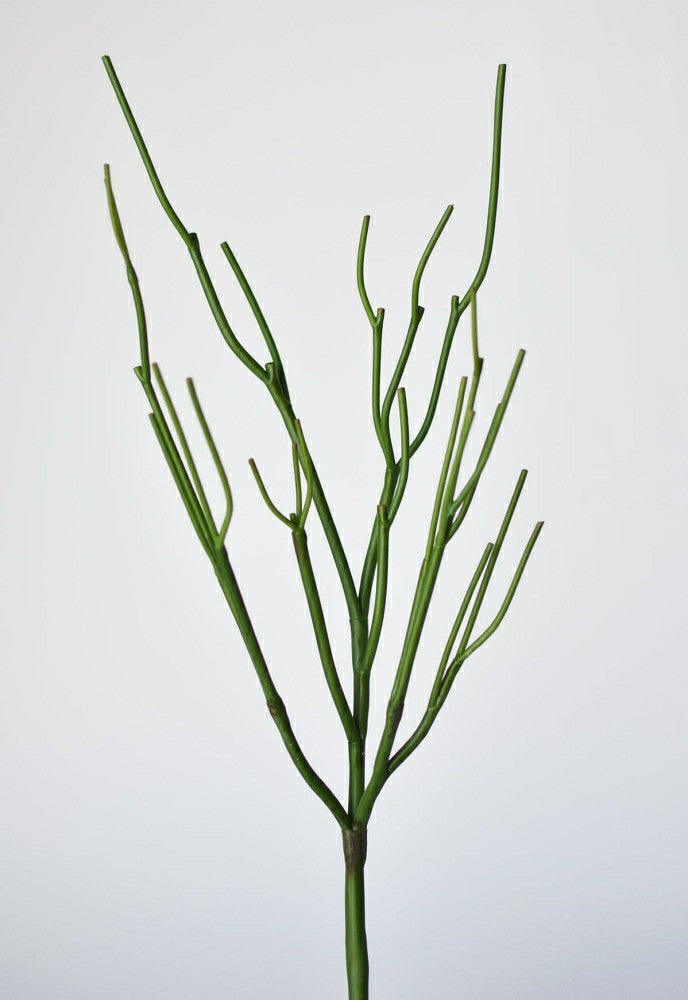 23" Faux Green Pencil Cactus Succulent Stem | Plow & Hearth