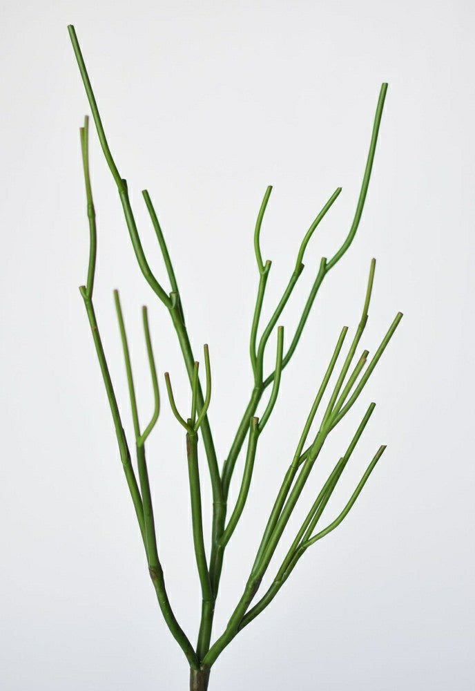 23" Faux Green Pencil Cactus Succulent Stem | Plow & Hearth