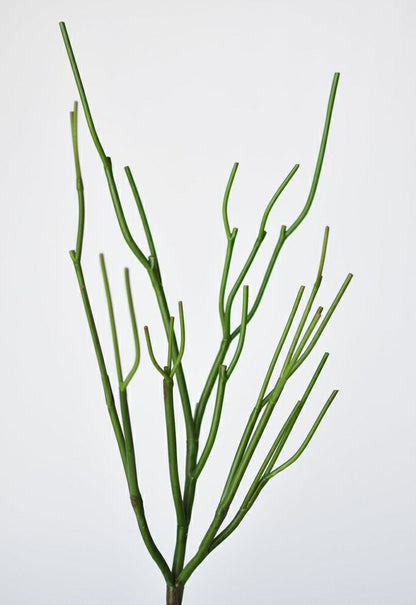 23" Faux Green Pencil Cactus Succulent Stem | Plow & Hearth
