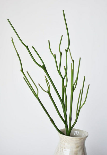 23" Faux Green Pencil Cactus Succulent Stem | Plow & Hearth