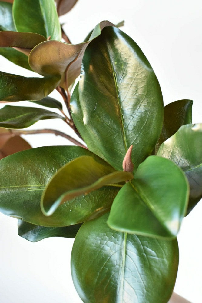 40" Faux Magnolia Leaf Branch | Plow & Hearth