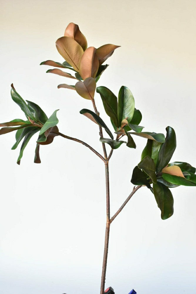 40" Faux Magnolia Leaf Branch | Plow & Hearth