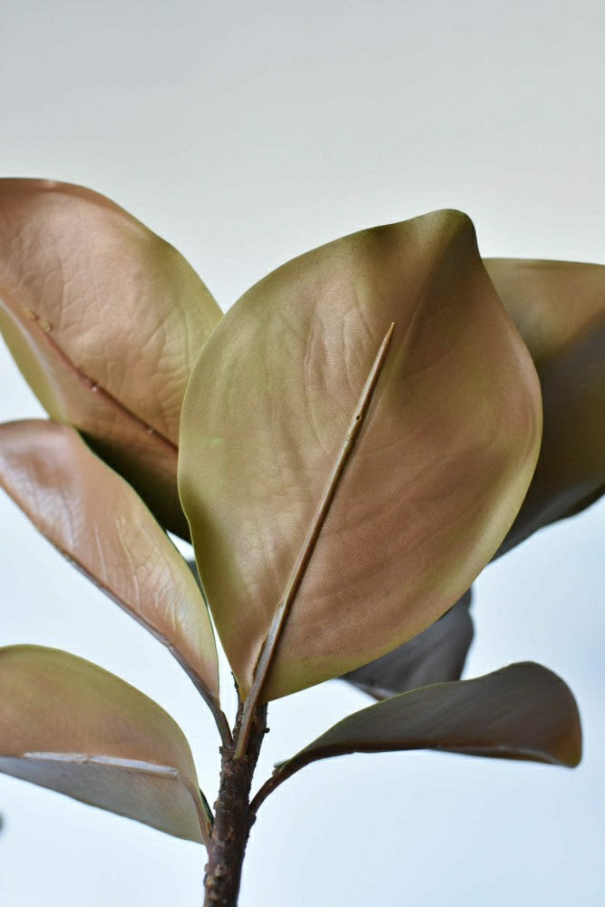 40" Faux Magnolia Leaf Branch | Plow & Hearth