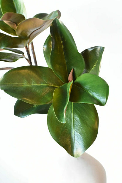 40" Faux Magnolia Leaf Branch | Plow & Hearth