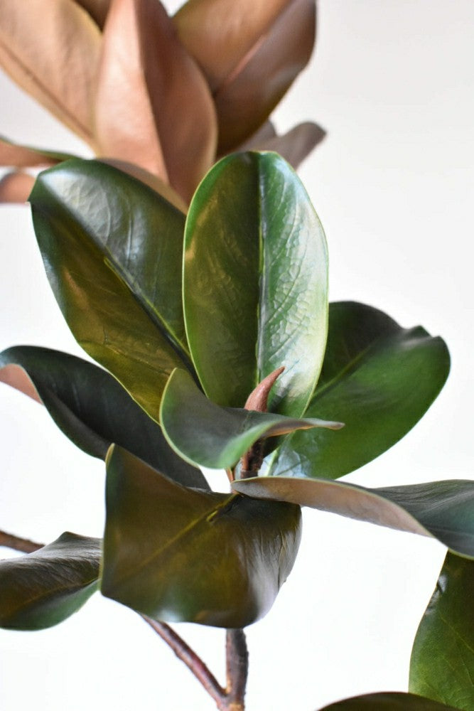 40" Faux Magnolia Leaf Branch | Plow & Hearth