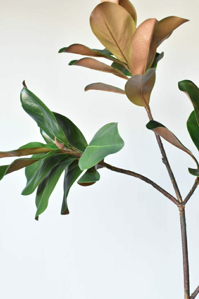 40" Faux Magnolia Leaf Branch | Plow & Hearth