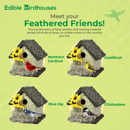 Short Handmade Edible Birdhouse with Dark Roof | Plow & Hearth