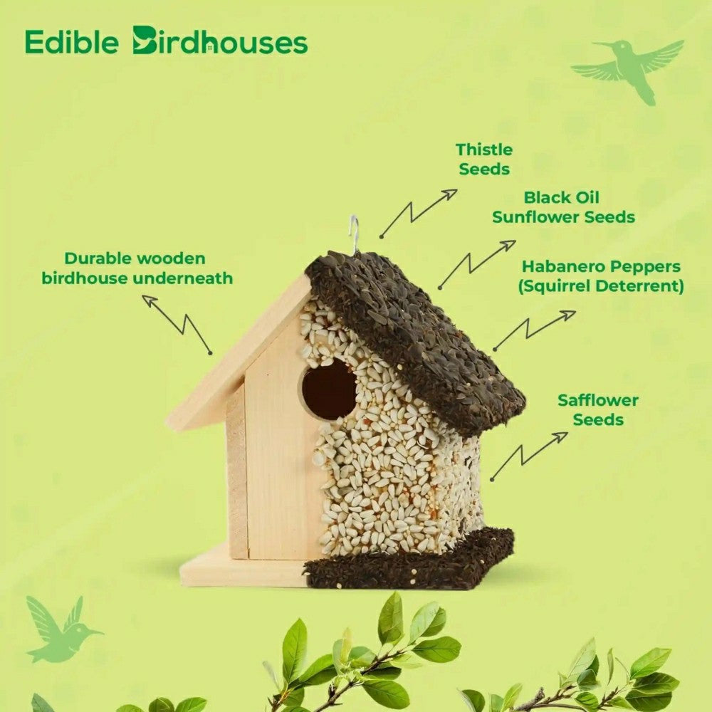 SHort Handmade Edible Birdhouse with Light Roof | Plow & Hearth
