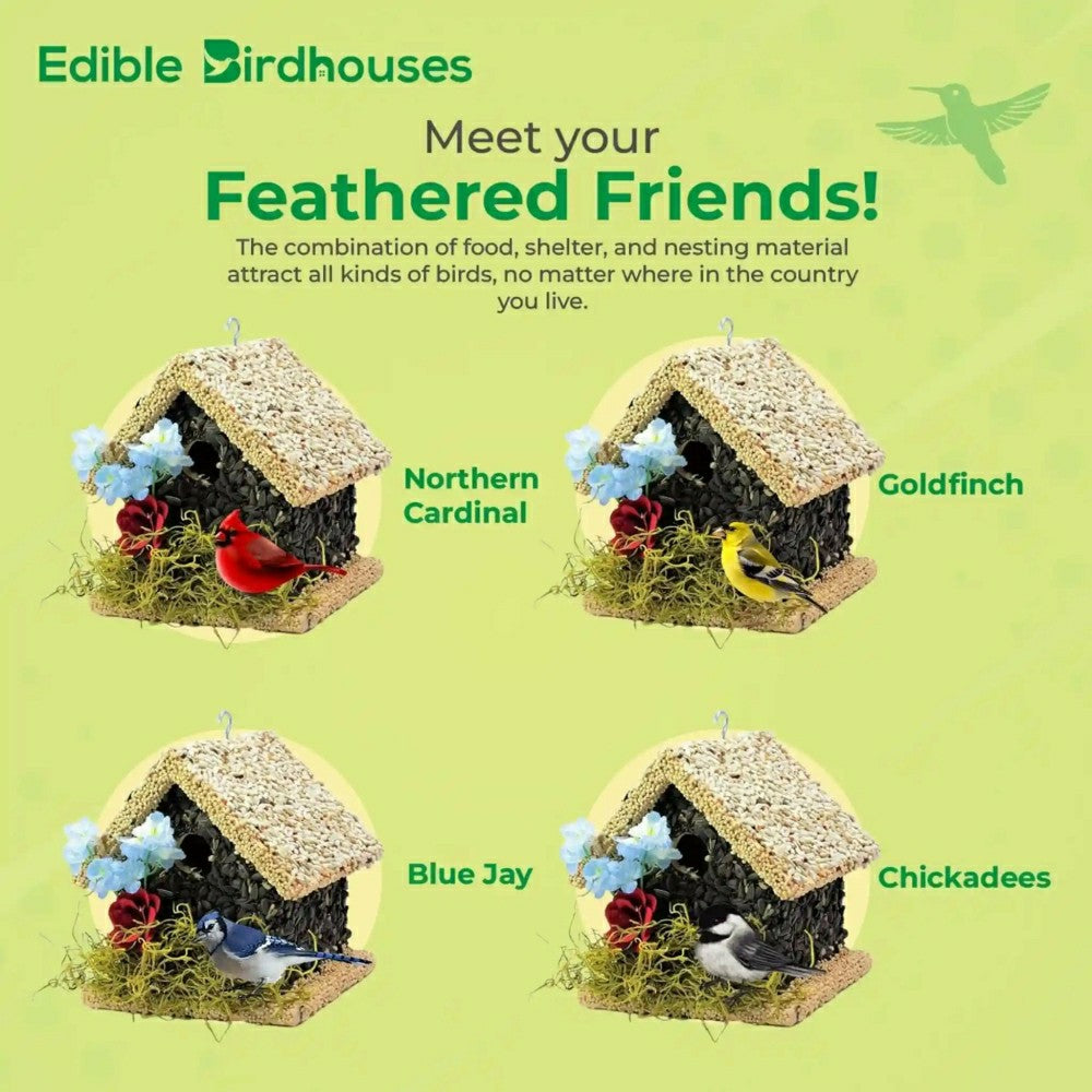 SHort Handmade Edible Birdhouse with Light Roof | Plow & Hearth