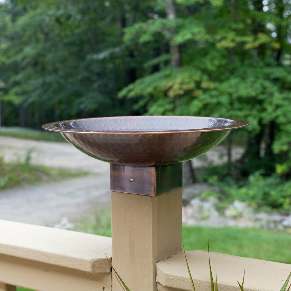 Hammered Burnt Copper Birdbath, 14"Diameter | Plow & Hearth