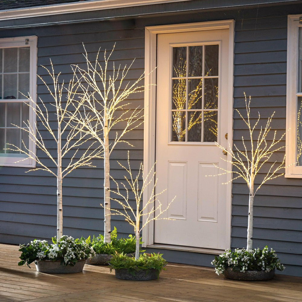 Small Indoor/Outdoor Birch Tree with 300 Warm White Lights | Plow & Hearth